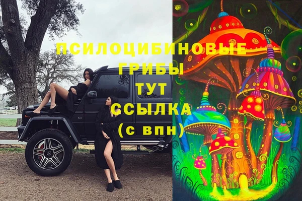 наркотики Инсар