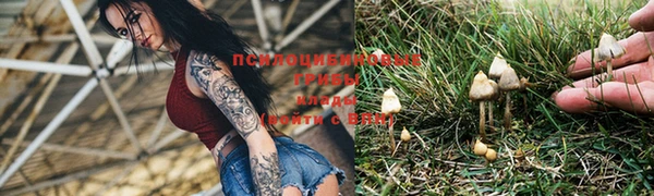 индика Зеленодольск