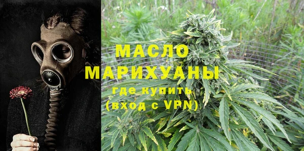 индика Зеленодольск