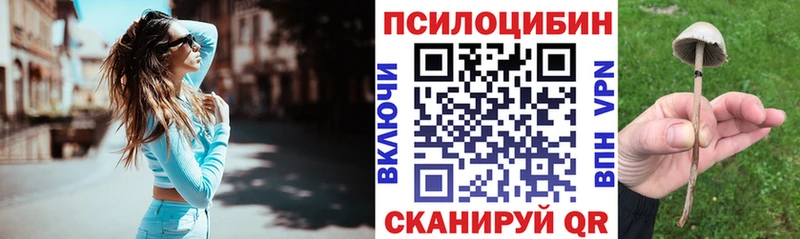 Псилоцибиновые грибы Psilocybine cubensis  Псков 